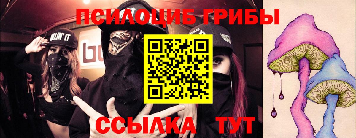 Иваново  Галлюциногенные грибы Cubensis  Вход с VPN 