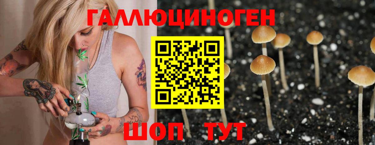 Псилоцибиновые грибы прущие грибы Иваново